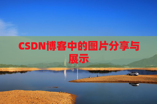 CSDN博客中的图片分享与展示